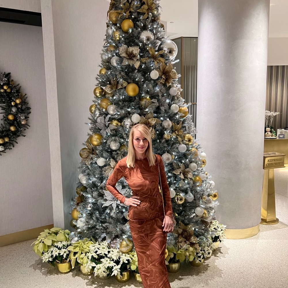 House cb London maxi dress great condition!